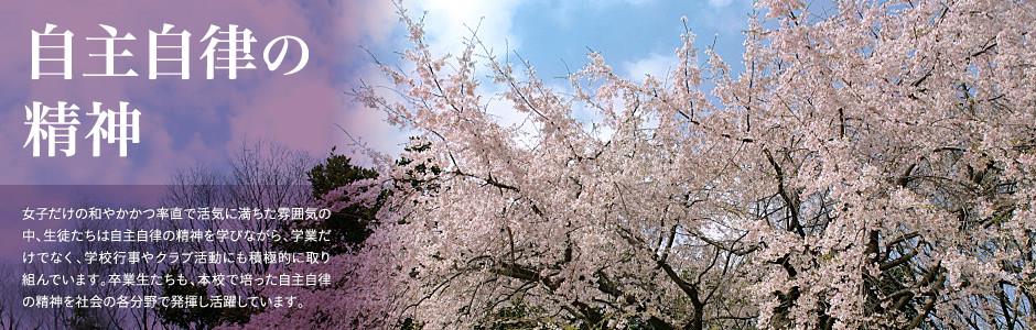 万博手机官网官方地址
